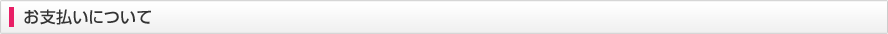 お支払いについて